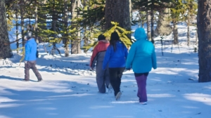 32ab0140-0e07-486f-b85d-44d288e350c4