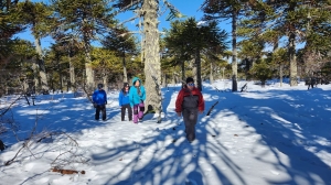 4676d2a5-f73d-429a-939d-988219a51842