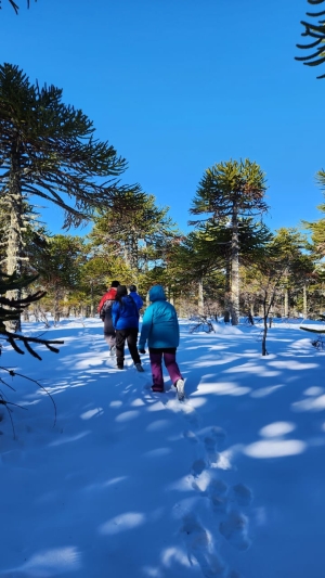 51e93712-492d-4454-b9b1-019150b0741f