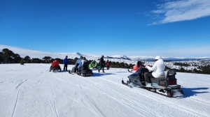 b0d558a5-7042-4a6e-b8bf-7ef00206fb5b