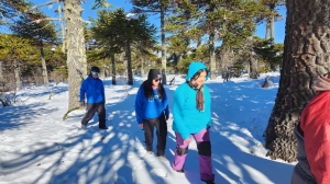 de5ed1e0-66f3-41b5-a09e-067d33f89019