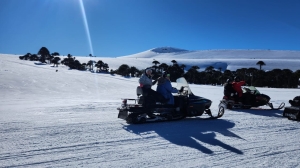 fe1751a5-761d-4856-bad7-e5fc62a5b935